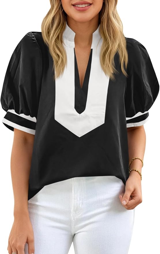 Casual Dressy V Neck Top PW91